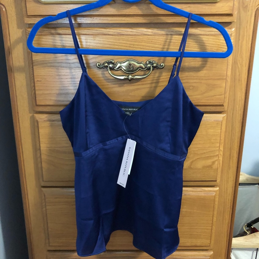 Banana Republic Cobalt Blue Top